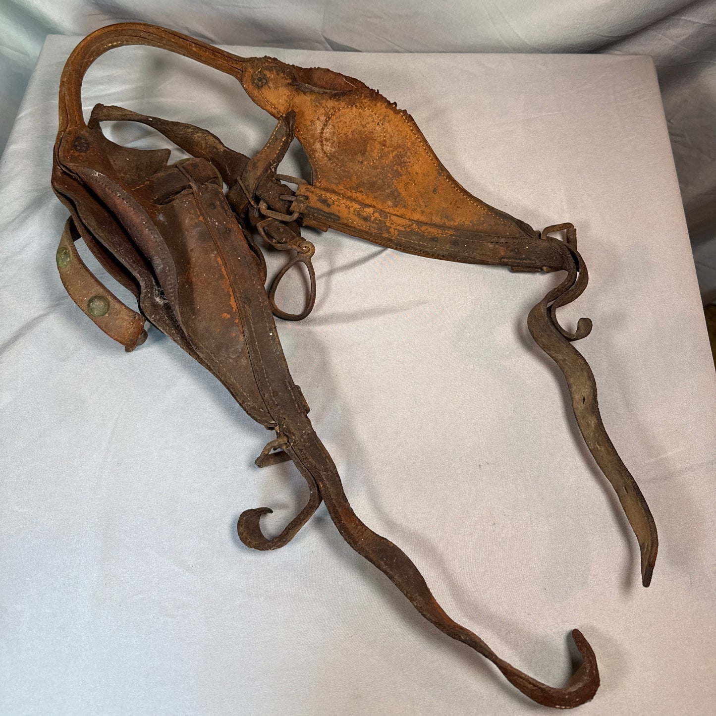 Antique US Cavalry Leather Saddle Bags with Brass US Rosettes